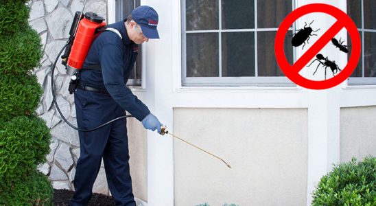 Harmandalı Kemirgen İlaçlama böcek ilaçlama ve haşere kontrolü — ilaclama-tr.com